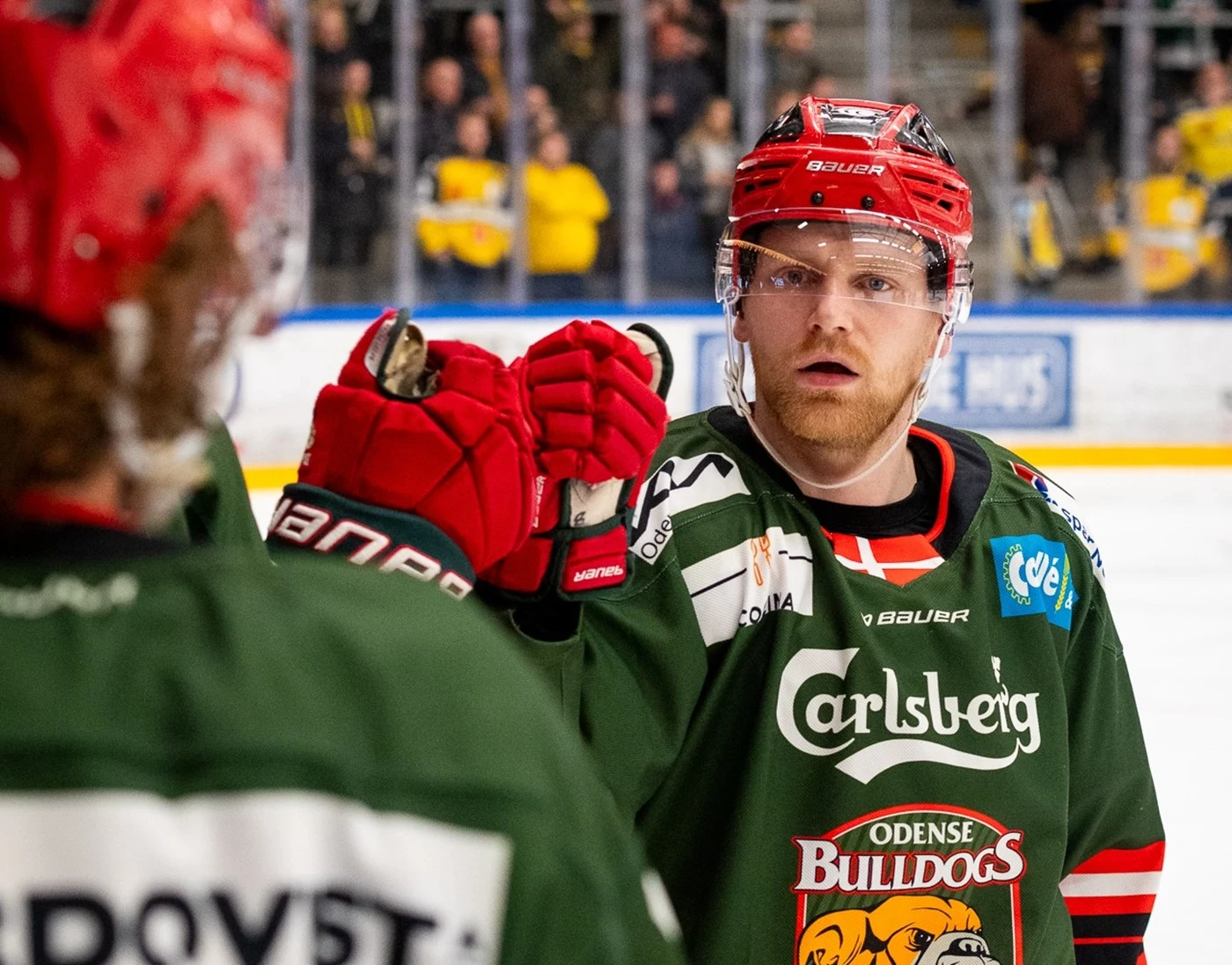 Nicolai Weichel i Bulldogs trjen